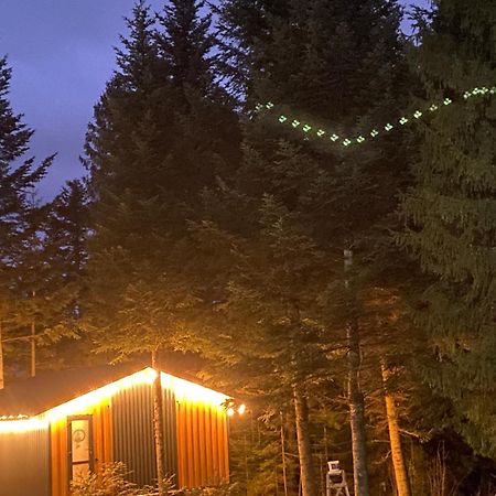Феєрія Лісу Aparthotel Skhidnytsia Εξωτερικό φωτογραφία