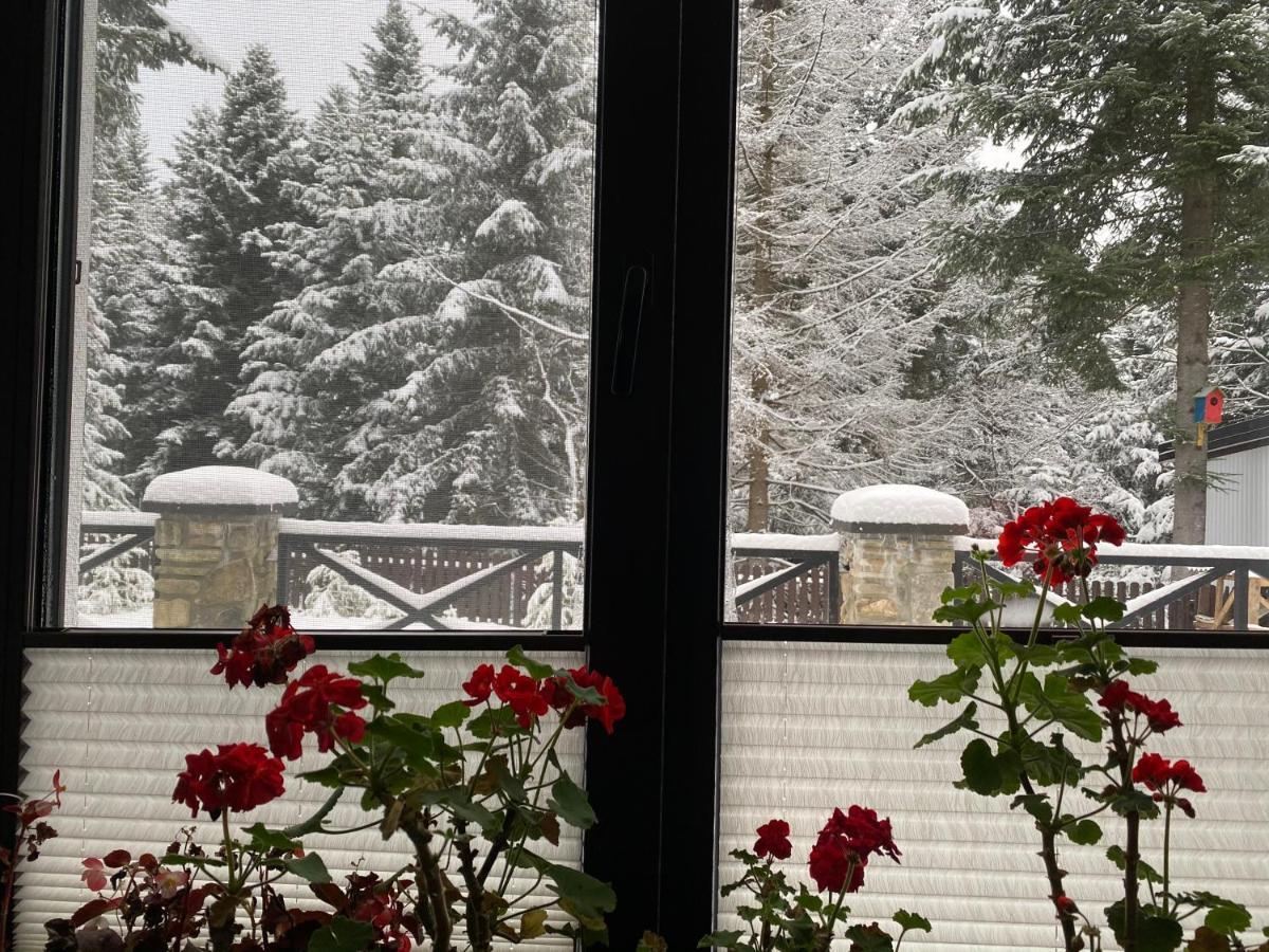Феєрія Лісу Aparthotel Skhidnytsia Εξωτερικό φωτογραφία
