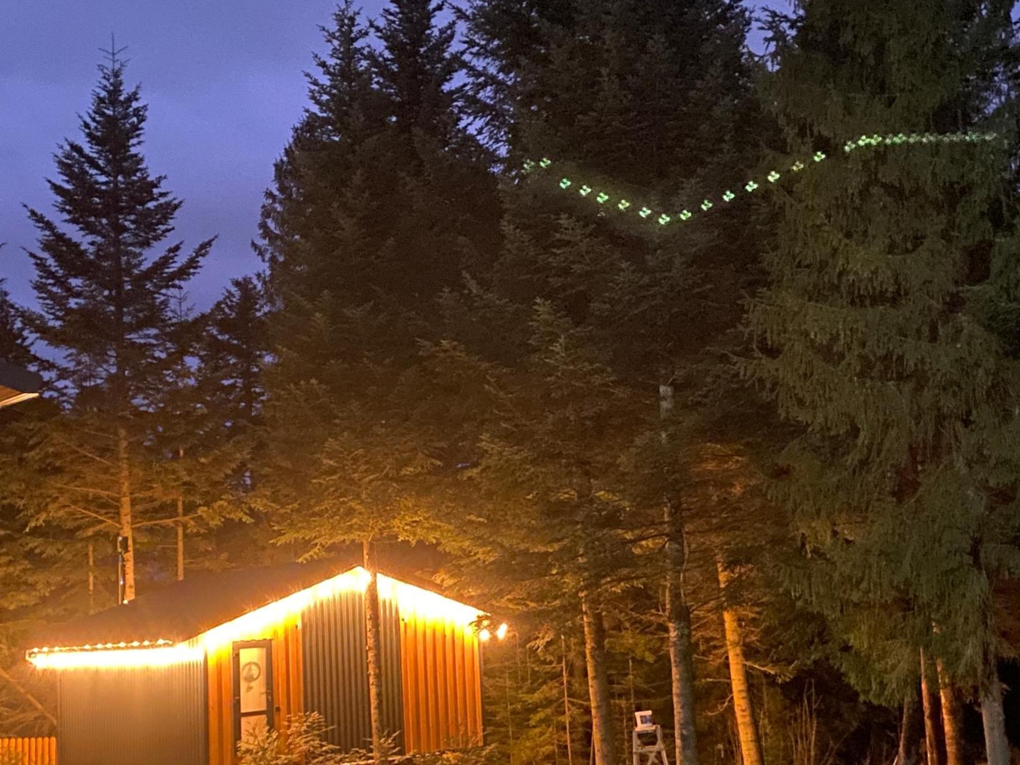 Феєрія Лісу Aparthotel Skhidnytsia Εξωτερικό φωτογραφία