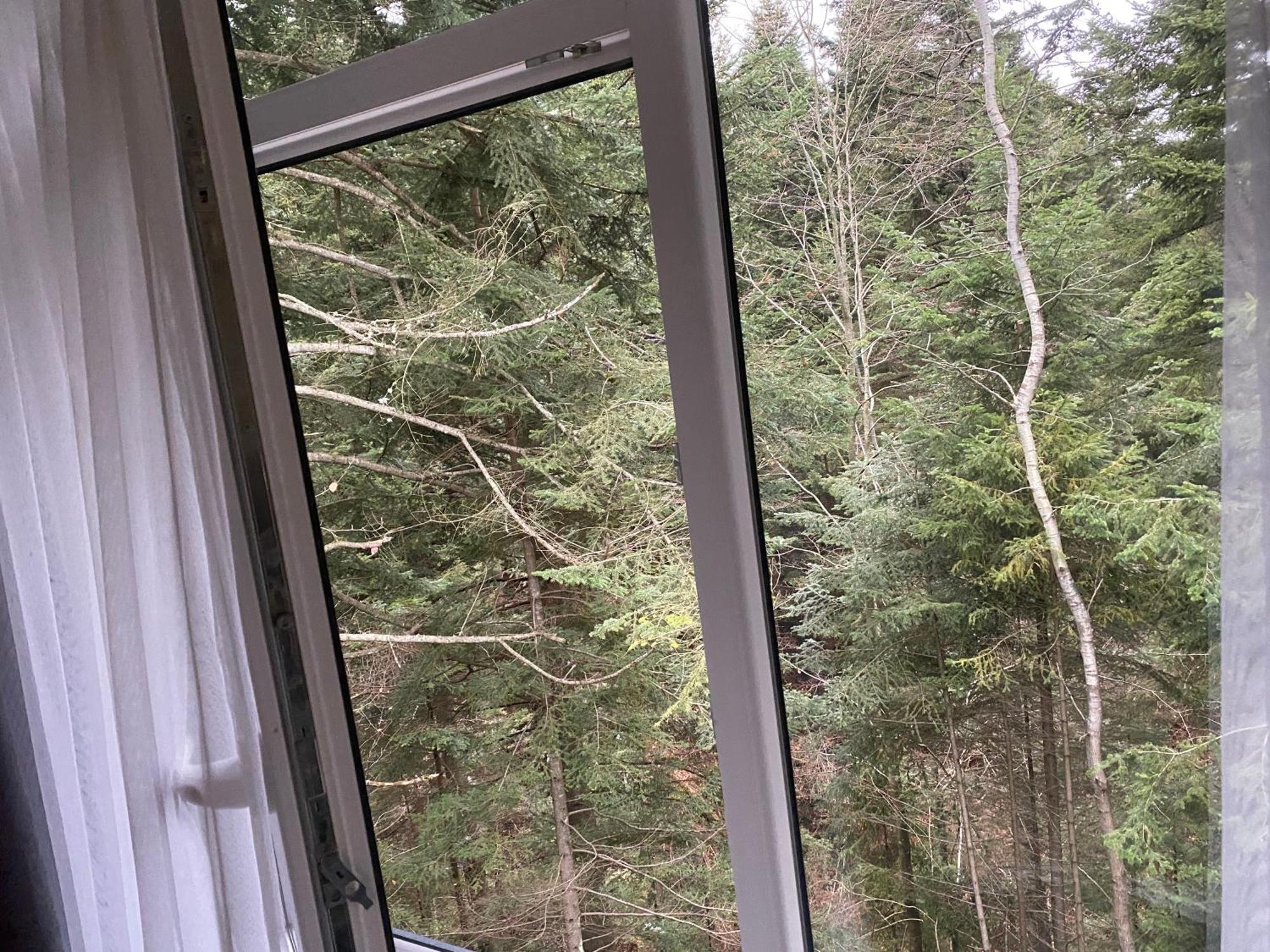 Феєрія Лісу Aparthotel Skhidnytsia Εξωτερικό φωτογραφία