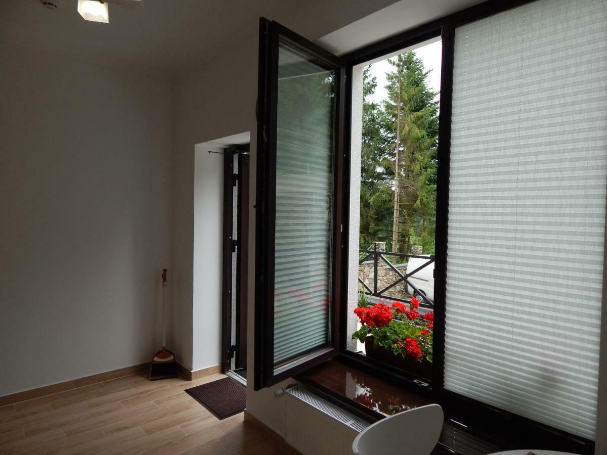 Феєрія Лісу Aparthotel Skhidnytsia Εξωτερικό φωτογραφία