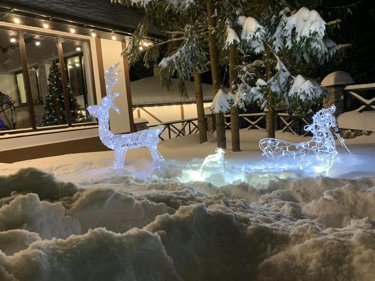 Феєрія Лісу Aparthotel Skhidnytsia Εξωτερικό φωτογραφία